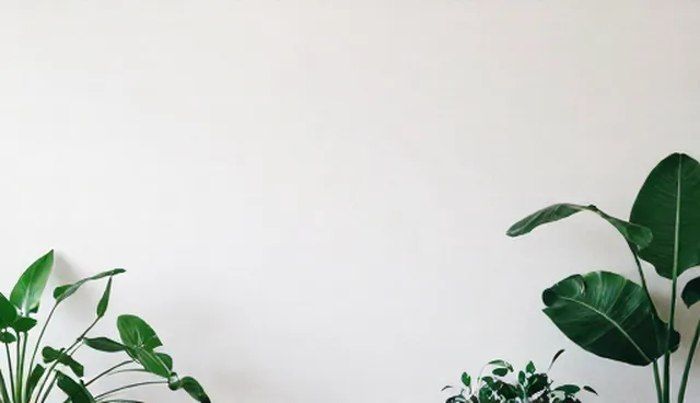 平面设计等绩效对比中的实际问题及优化方向